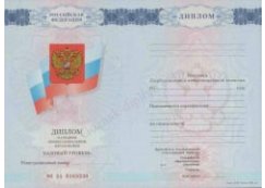 Диплом техникума или колледжа 2007-2010 года