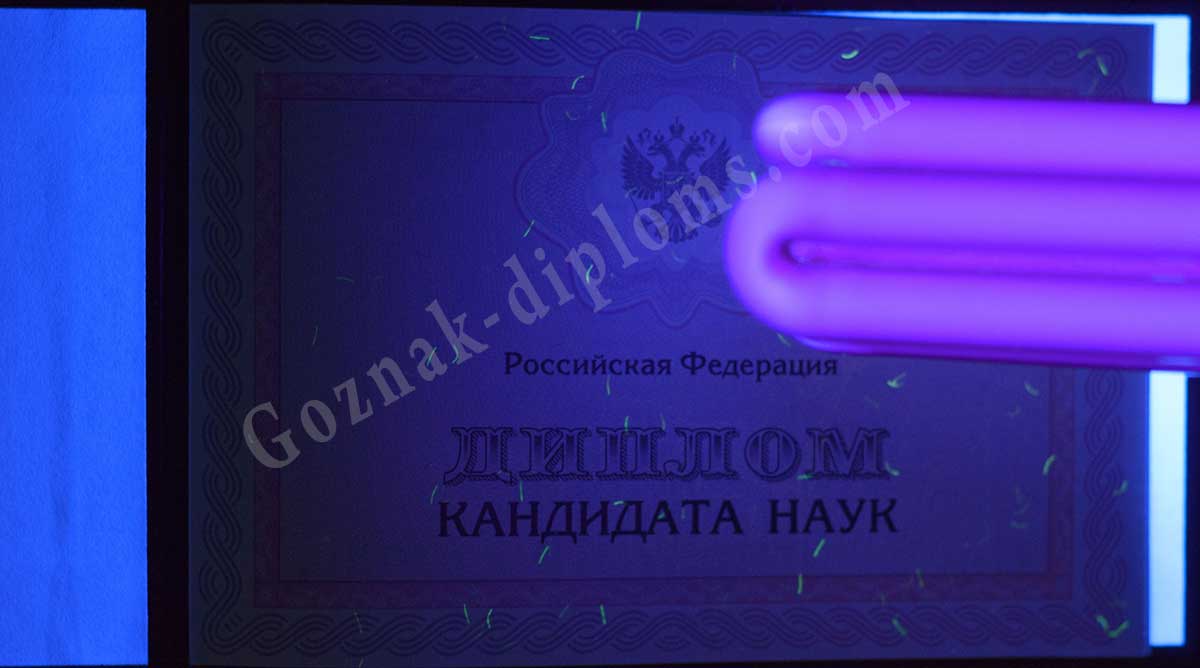 Диплом кандидата наук 2007-2026